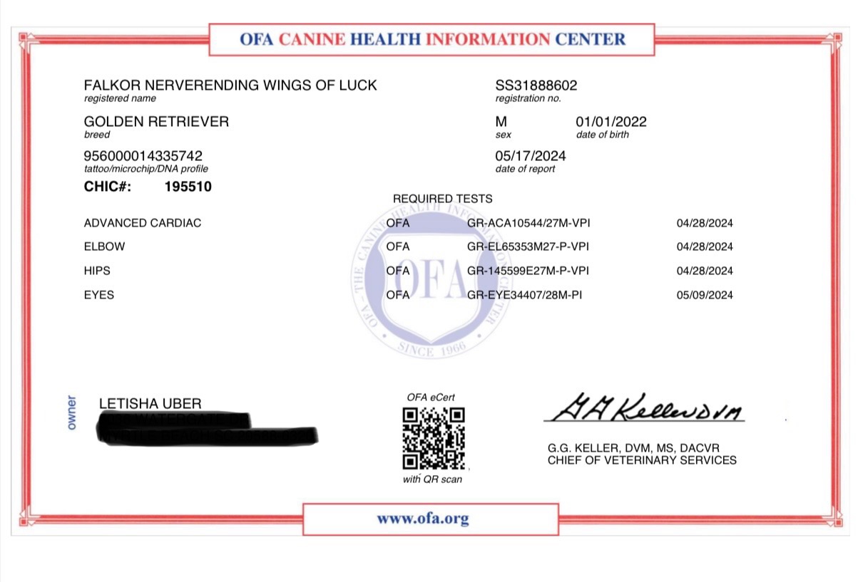 Falkor's OFA health clearance