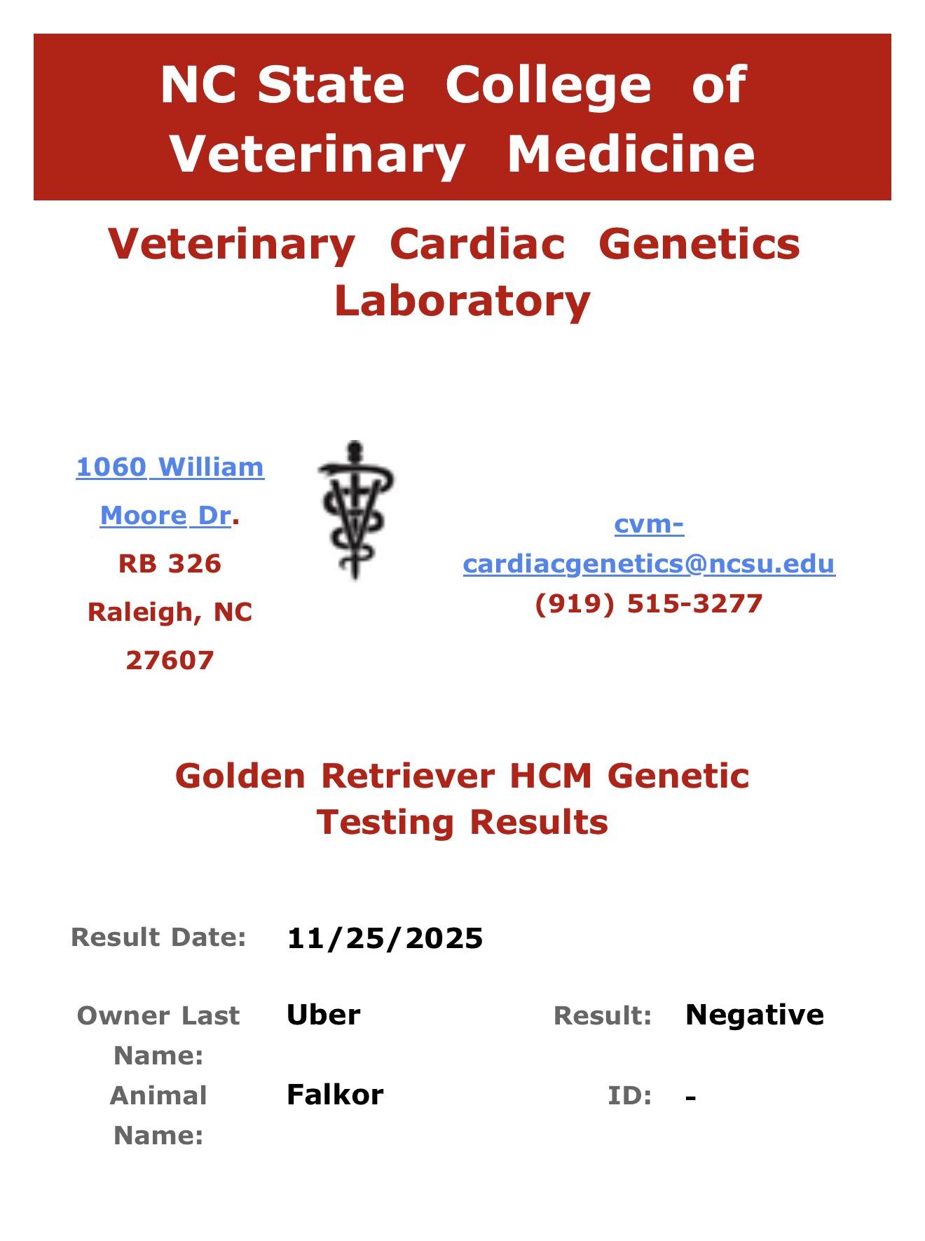 Falkor's Golden Retriever HCM genetic testing result