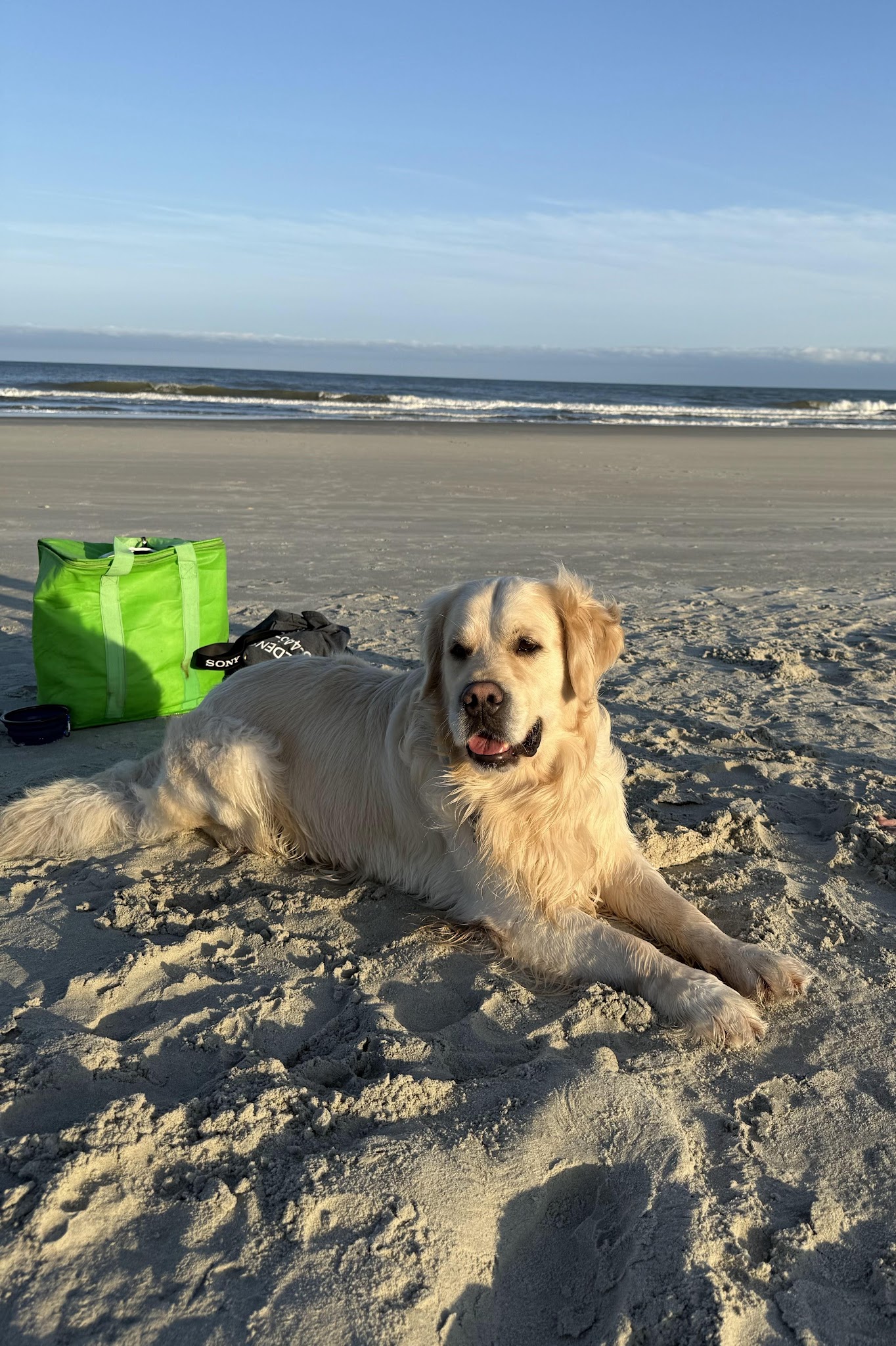 Falkor resting in the sand