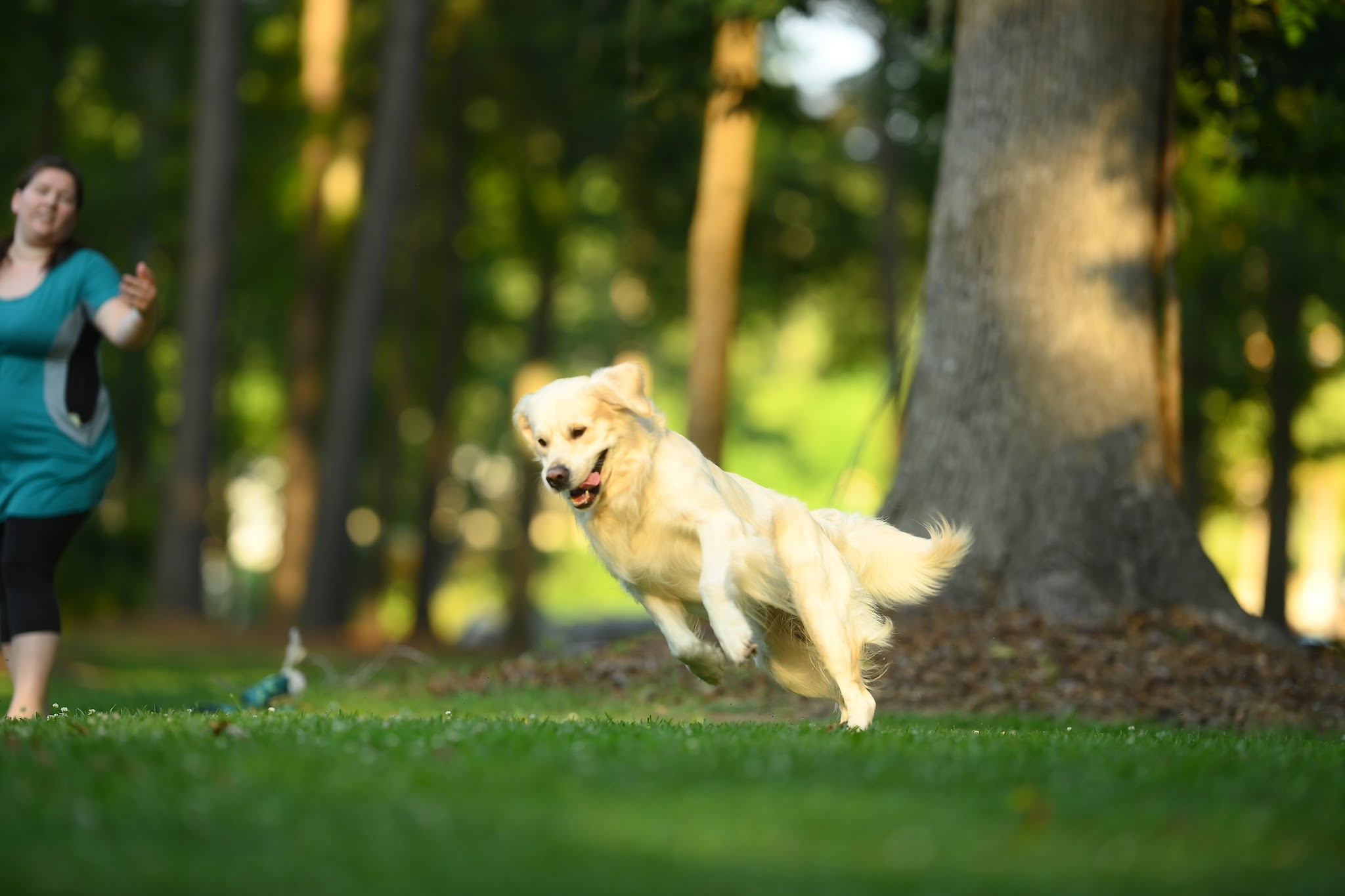 Falkor in motion outdoors