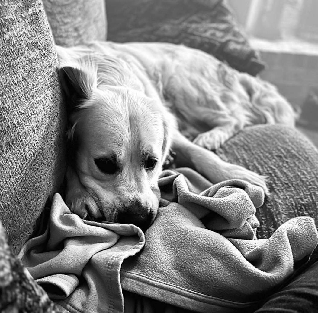 Black-and-white portrait of Falkor
