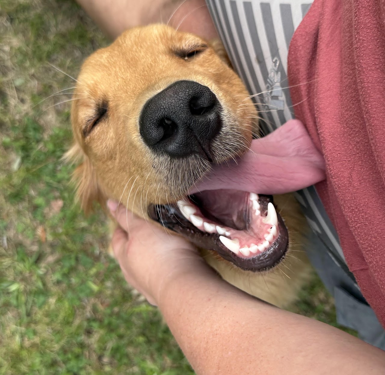 A joyful close-up of Gigi smiling