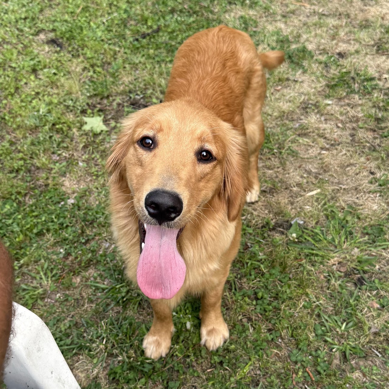 Gigi looking up with a bright happy expression
