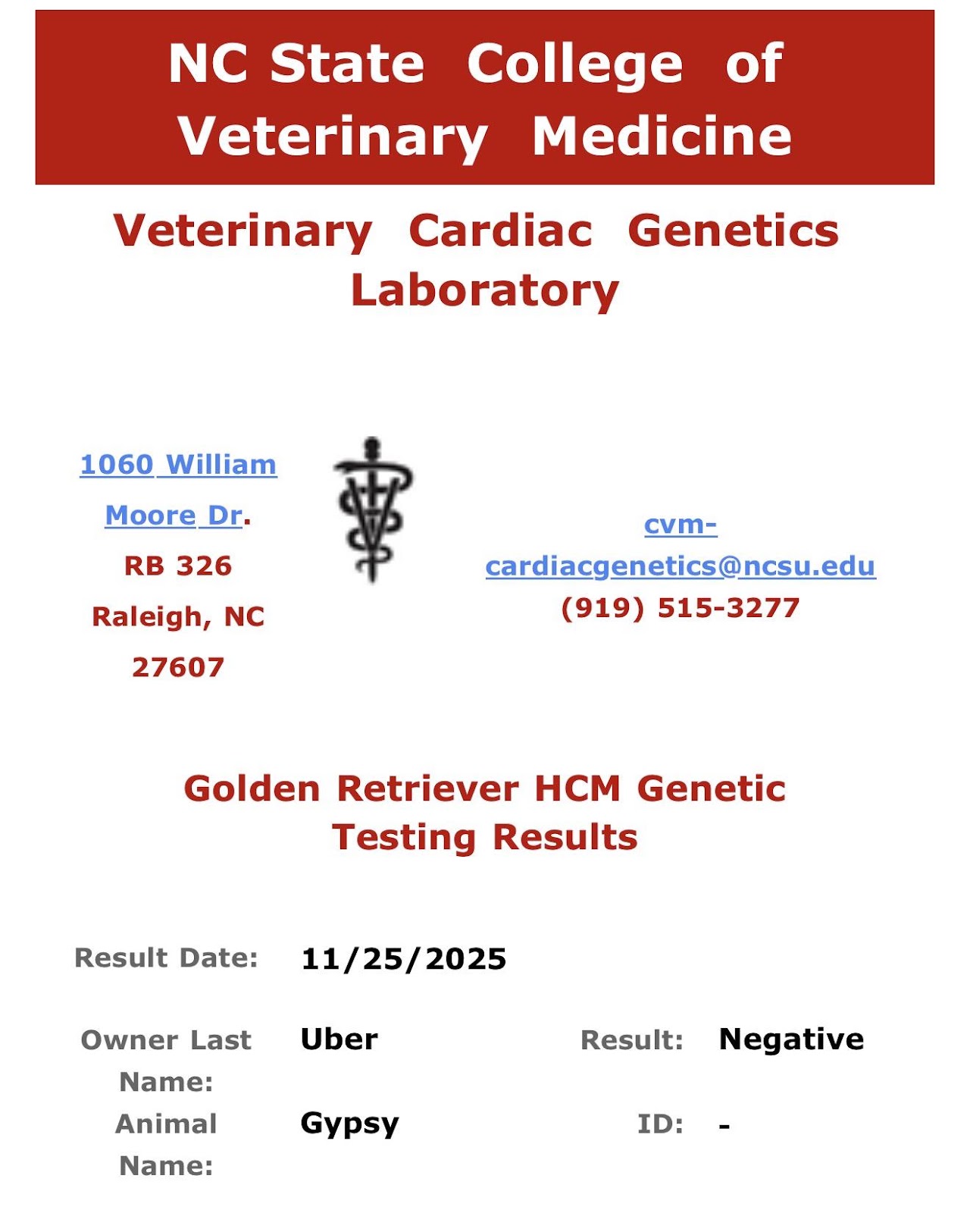 Gypsy Golden Retriever HCM genetic testing result