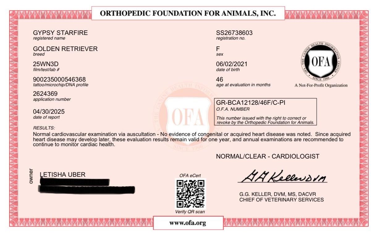 Gypsy OFA cardiac clearance