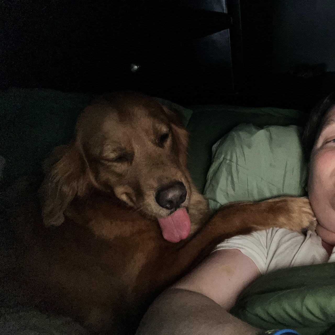Gypsy cuddling with her person