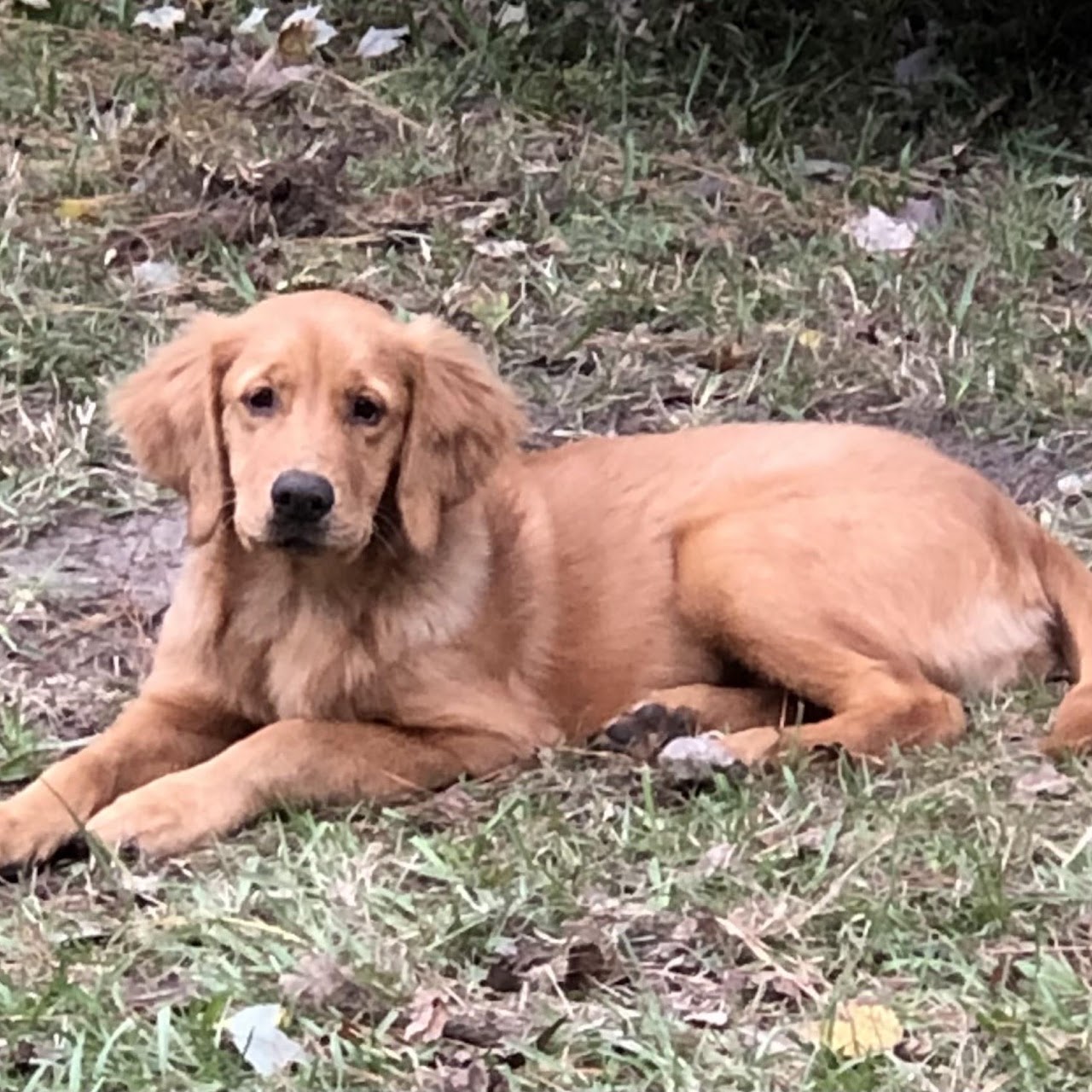 Young Gypsy resting outside