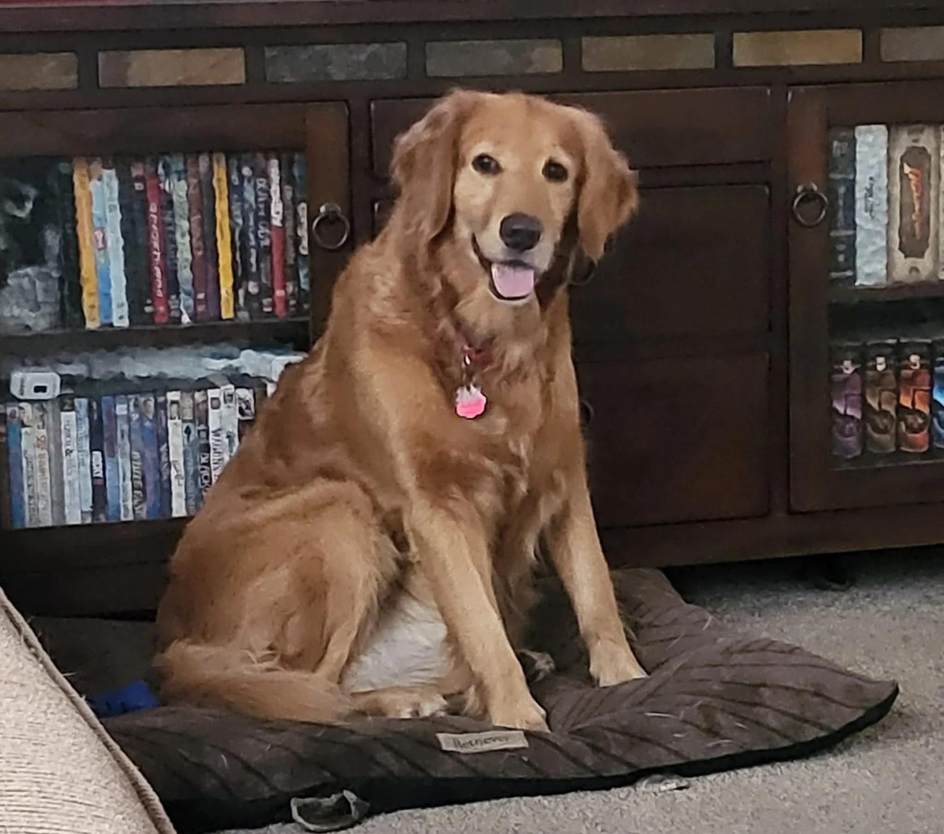 Ella smiling at home