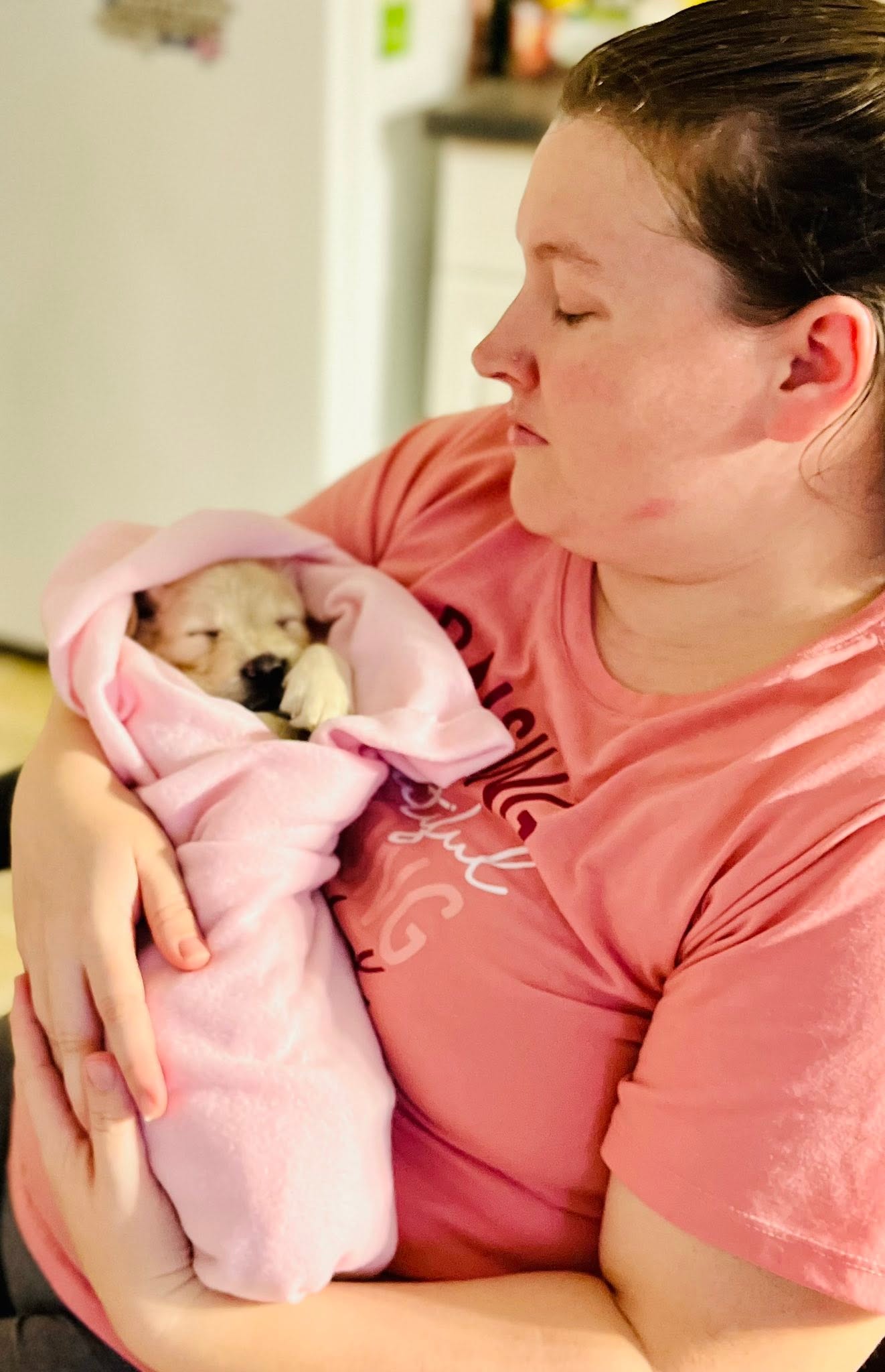 Newborn Golden Retriever puppy wrapped in a pink blanket