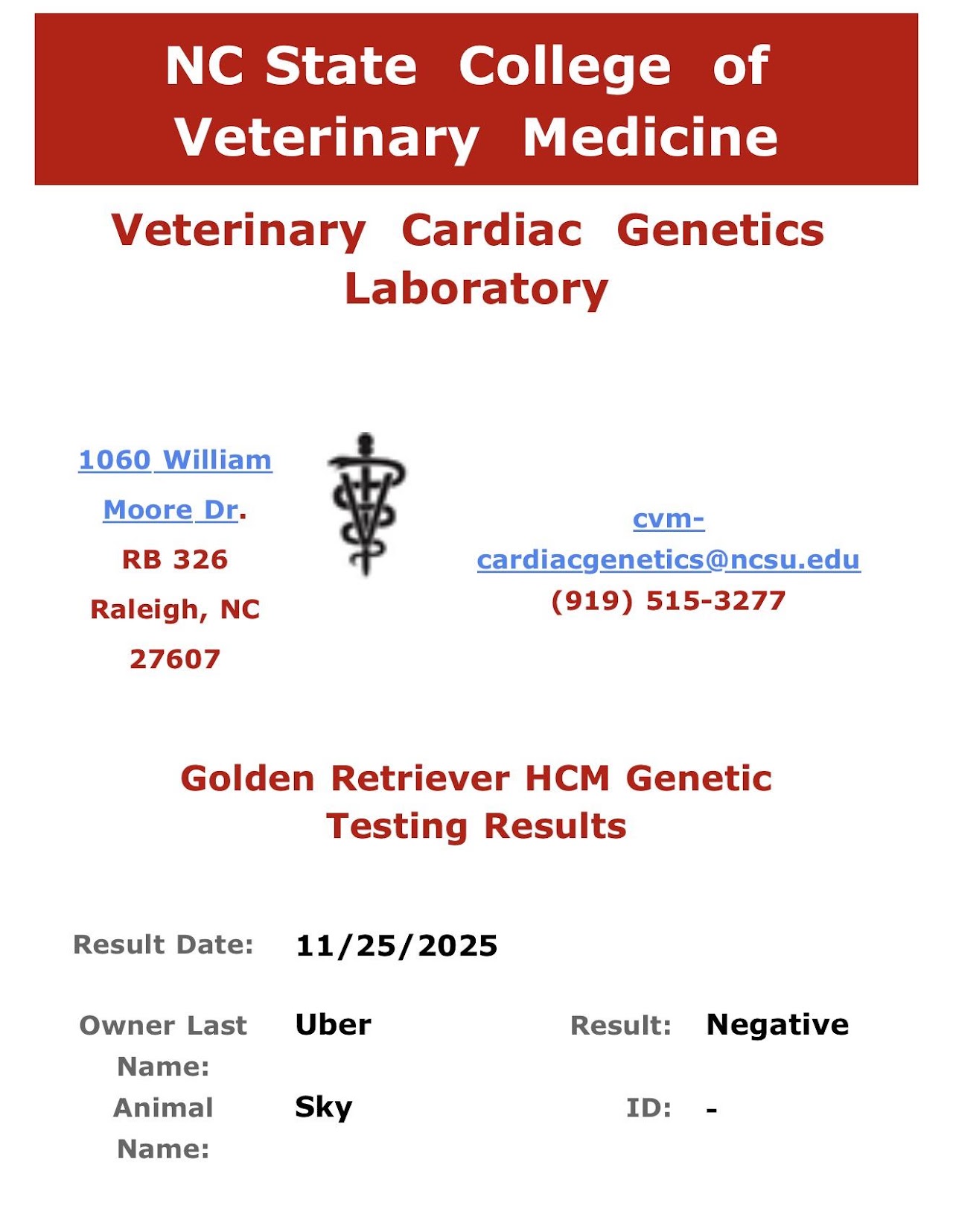 Sky's Golden Retriever HCM genetic testing result