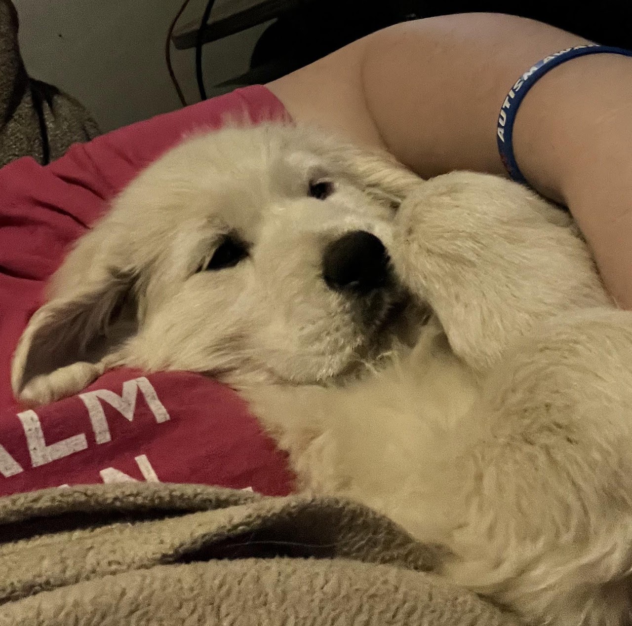 Sky cuddling with her person