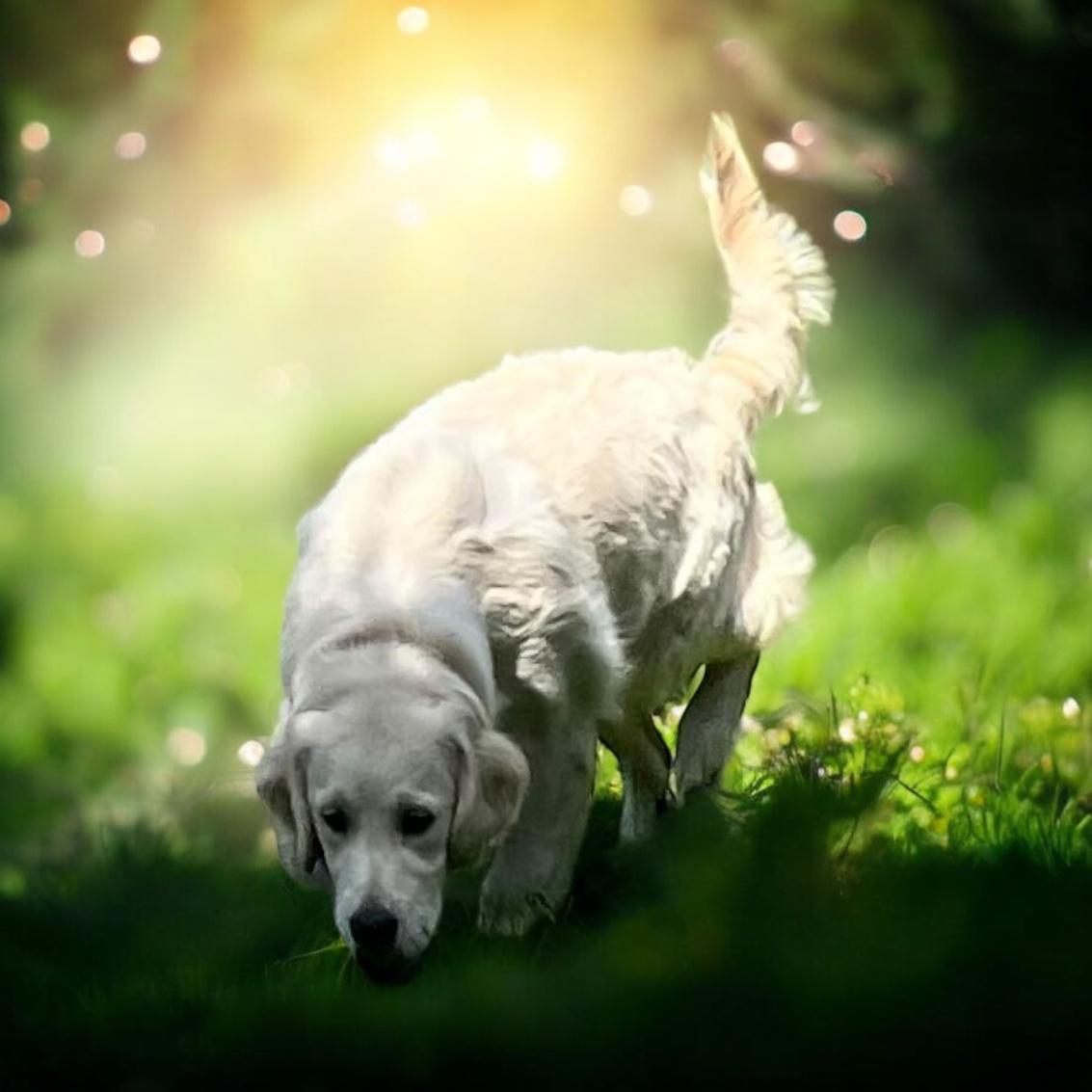 Sky exploring in warm sunlight