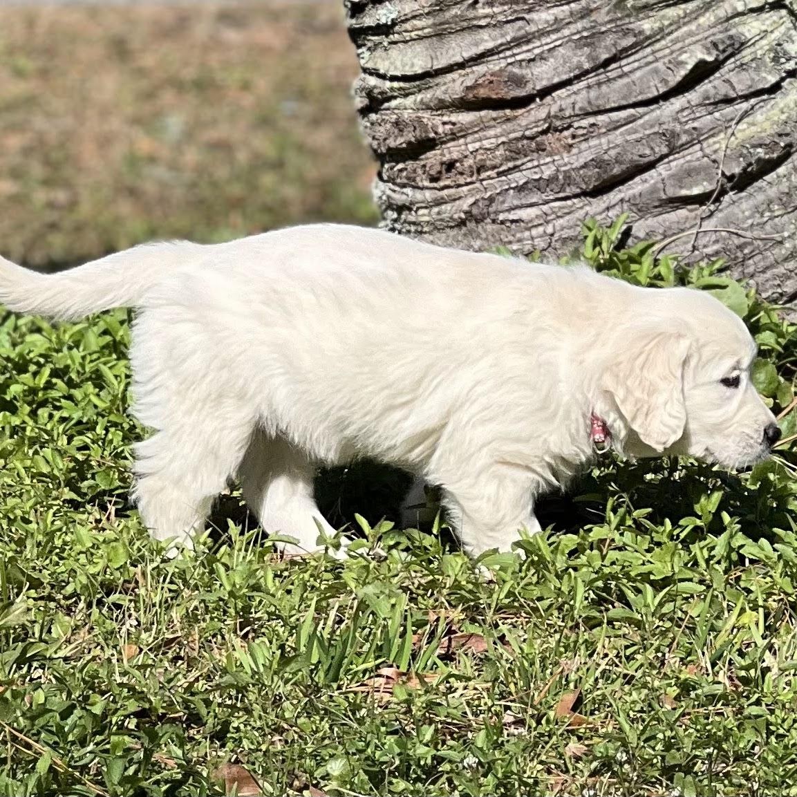 Sky with a littermate outdoors