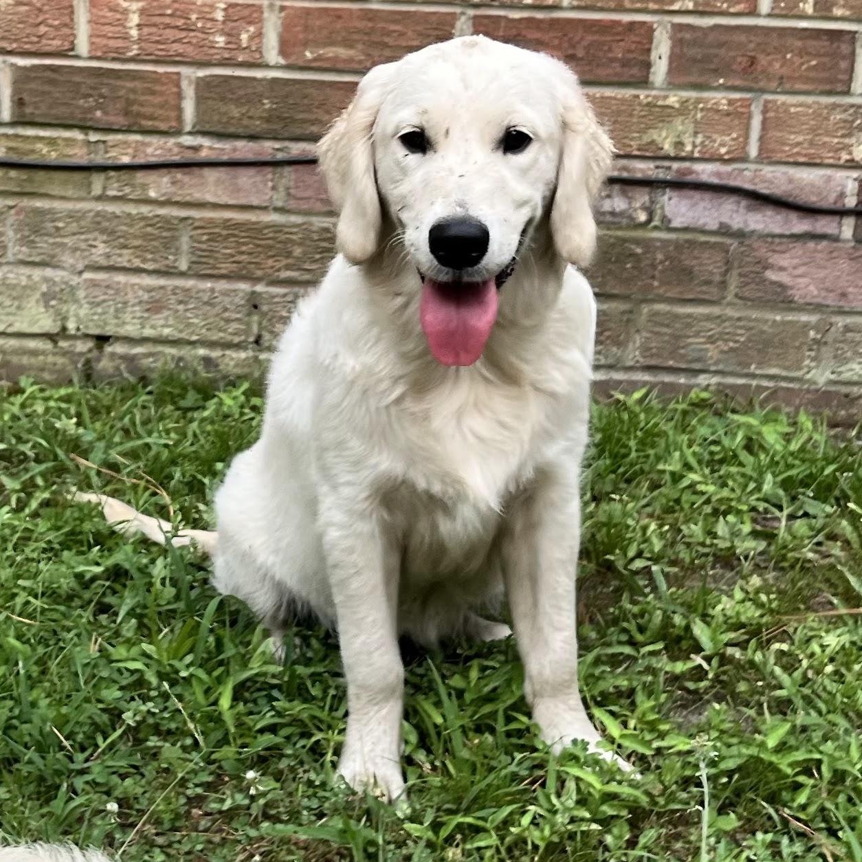 Star standing by the brick wall
