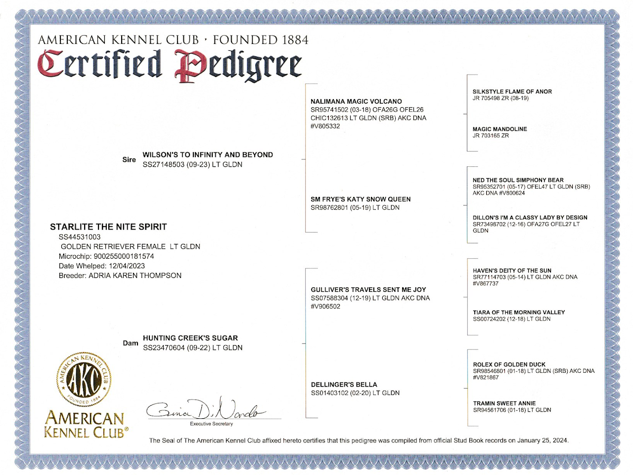 Star AKC certified pedigree
